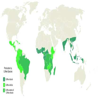 کشورهای تولید کننده قهوه روبوستا کدامند