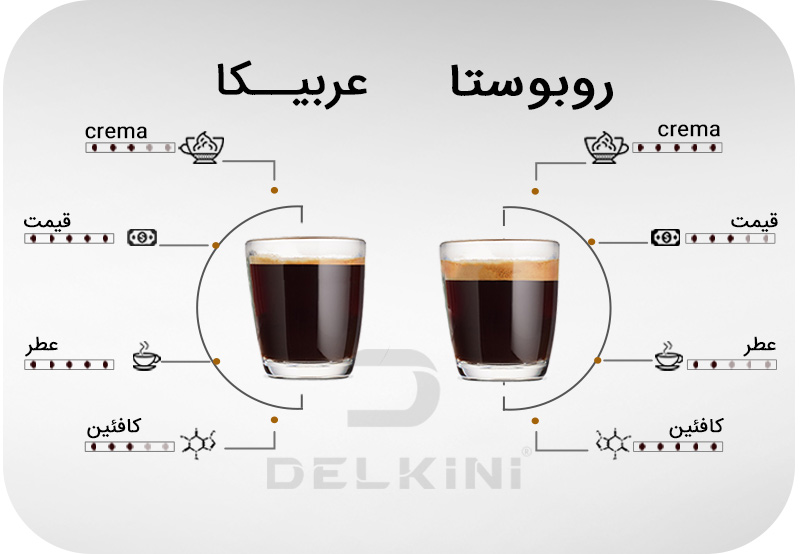 بررسی تفاوت های نژاد قهوه عربیکا و روبوستا