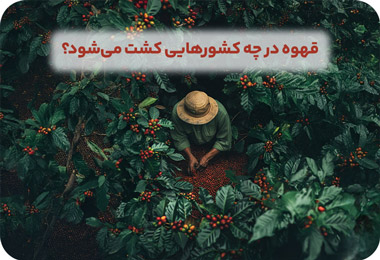 کشورهای تولیدکننده قهوه در جهان