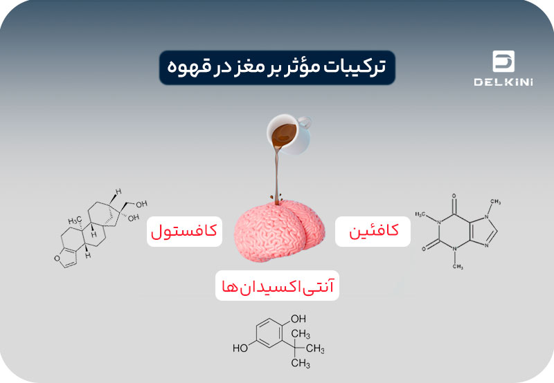 ترکیبات موثر بر مغز در قهوه