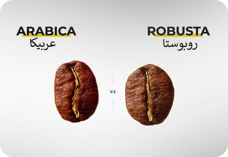 تفاوت دانه عربیکا و روبوستا
