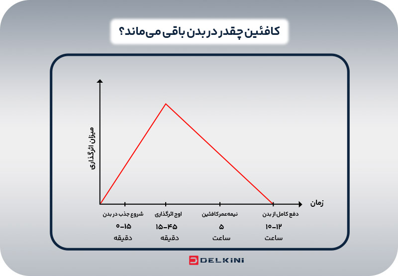 کافئین قهوه چقدر در بدن باقی می‌ماند؟